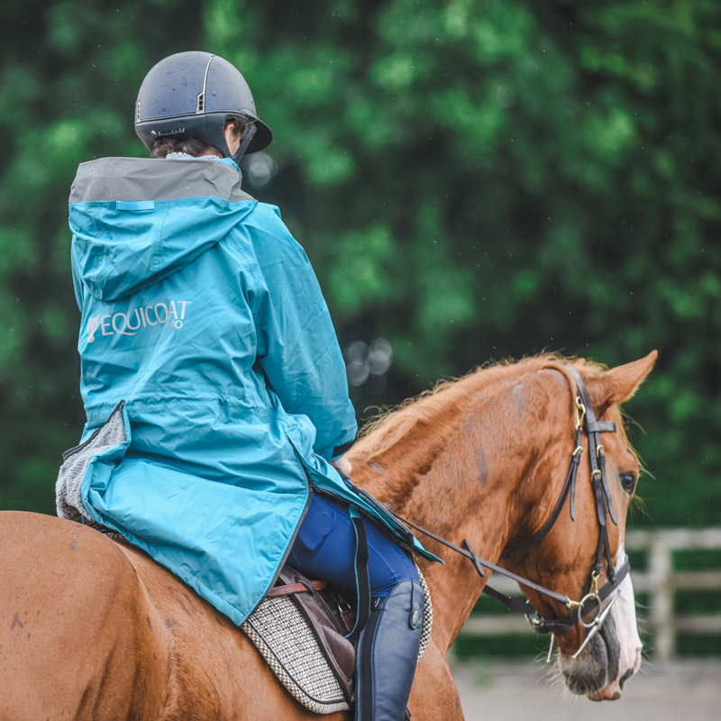 Equicoat Pro - Adult - Teal-6